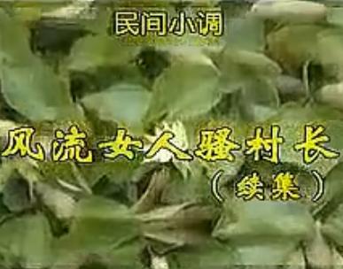 安徽民间小调：风流女人骚村长续集下载