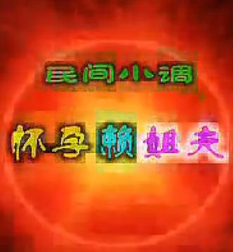 安徽民间小调：怀孕赖姐夫下载