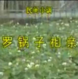 安徽民间小调：罗锅子相亲