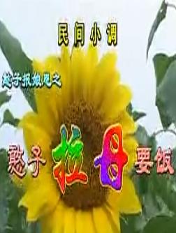 安徽民间小调：憨子拉母要饭