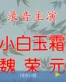 小白玉霜音配像：朱痕记