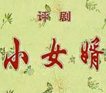 小女婿 音配像