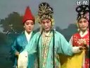 凄凄惨惨，乌鸦高叫河南曲剧《御河桥》选段