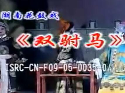湖南花鼓戏《双驸马》下载
