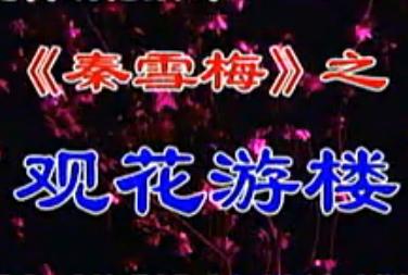 湖南花鼓戏《秦雪梅之观花游楼》下载