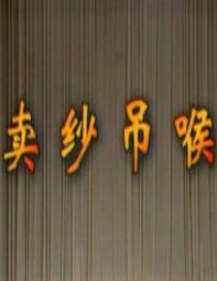 湖南花鼓戏《卖纱吊喉》下载