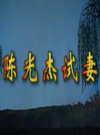 湖南花鼓戏《陈光杰试妻》下载