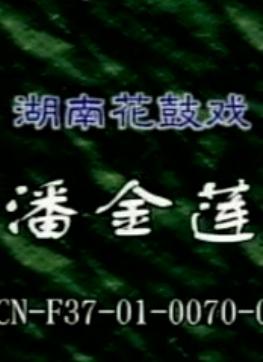湖南花鼓戏《潘金莲》全剧下载