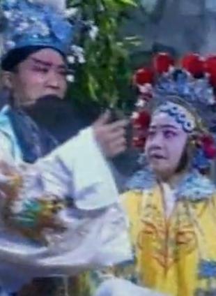 花鼓戏《赵匡胤下河东》