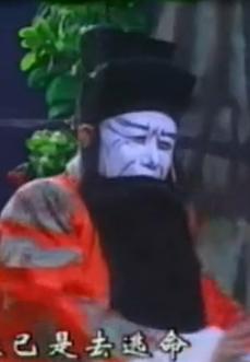 湖南花鼓戏《柴岳二夫人》