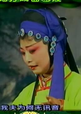 花鼓戏《孟日红割股》下载