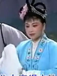 湖南花鼓戏电视剧《真假新郎》全剧 丁向荣下载