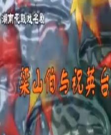 湖南花鼓戏《梁山伯与祝英台》 葛若龙 周春桃下载