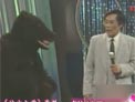 演出之前下载