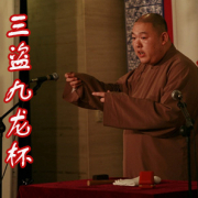 宋金刚押宝(电台版)(1-7)王玥波