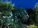马兰演唱：黄梅戏 《严凤英》精彩唱段下载