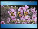黄梅戏《桃花梦》选段《天女散花》