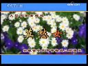 黄梅戏《莫愁女》选段