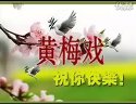 黄梅戏《天女散花》（卓依婷主演）