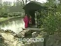 黄梅戏《女驸马》