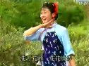（韩再芬主演） 黄梅戏《龙凤奇缘》选段1