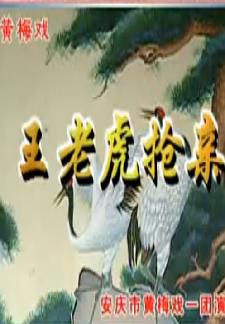 黄梅戏《王老虎抢亲》全剧(严桂兰/左胜利/
