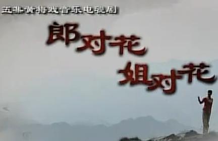 黄梅戏电视剧《郎对花姐对花》全集