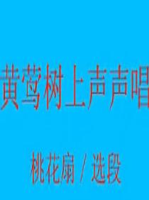 黄梅戏《桃花扇》选段：黄莺树上声声唱