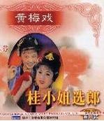 黄梅戏电视剧《桂小姐选郎》