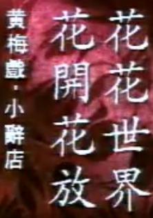 小辞店选段：花开花放花花世界