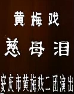 慈母泪