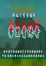 雾里青传奇