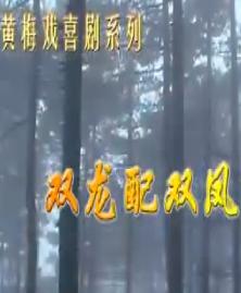 双龙配双凤