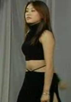 东北二人转《采花十三香》