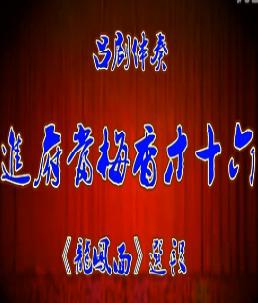 吕剧《龙凤面》选段：进府当梅香才十六