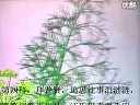 福州闽剧《包公误》上集