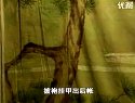 上党梆子《闯幽州》7