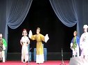 上党梆子《抗金点元》1