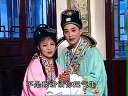 庐剧《孝子毒死生身父》5 魏小波、王小兰、