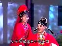 庐剧《张万郎休丁香》2 吴南野、昂小红、刘