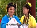 庐剧《张万郎休丁香》1 吴南野、昂小红、刘