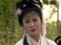 庐剧《五女复仇记》2 魏小波、王小兰