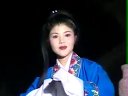 庐剧《五女复仇记》1 魏小波、王小兰