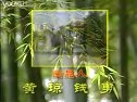 现代庐剧《新秦香莲》2 魏晓波、王小兰