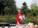 大平调《换龙》选段