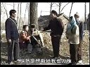柳琴戏奇婚记1