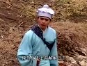 柳琴戏《美人画下凡》(下）