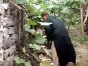 柳琴戏《周七猴子戏老师》（二）