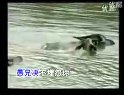 琼剧小唱：千万要珍重前途
