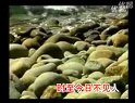 琼剧小唱：望到夜深和更阑